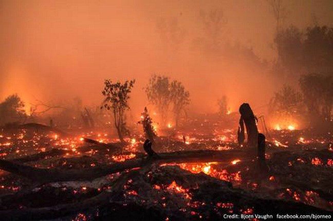 indonesia is burning