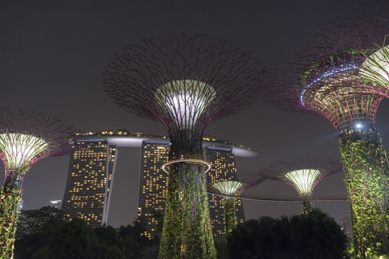 gardens by the bay night