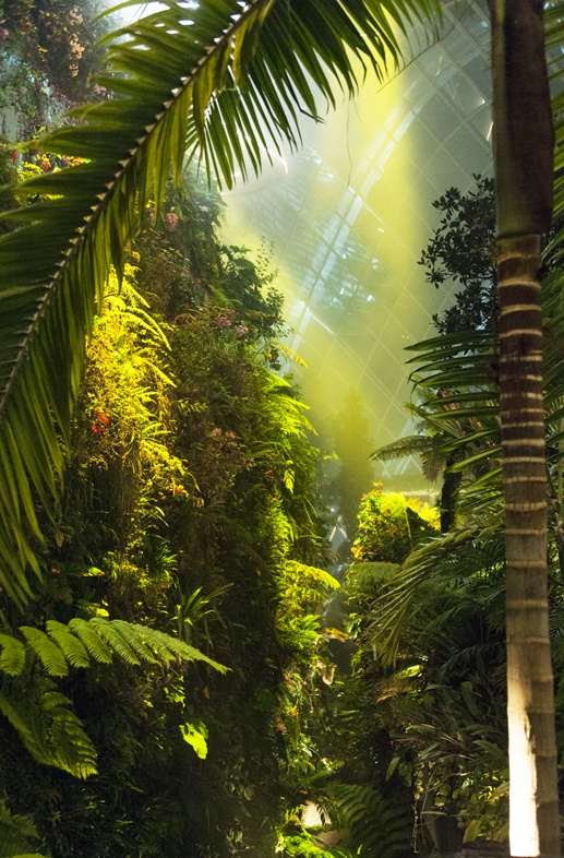 gardens by the bay waterfall night