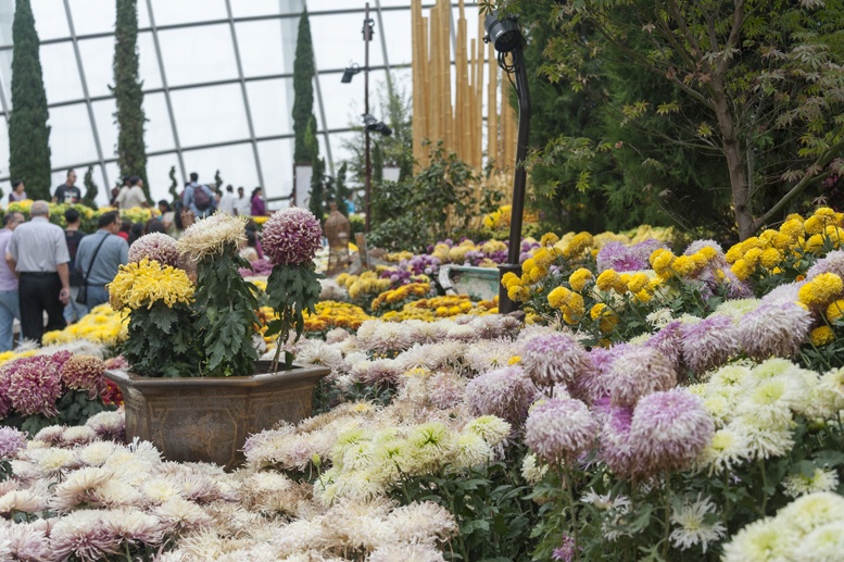 flower dome inside
