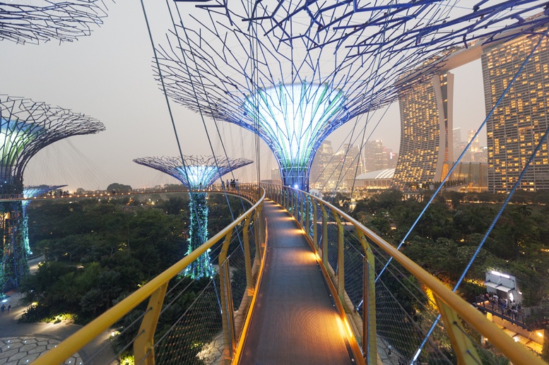 supertrees skywalk night