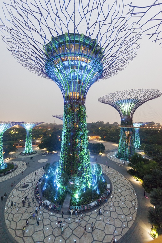 gardens by the bay nature in singapore