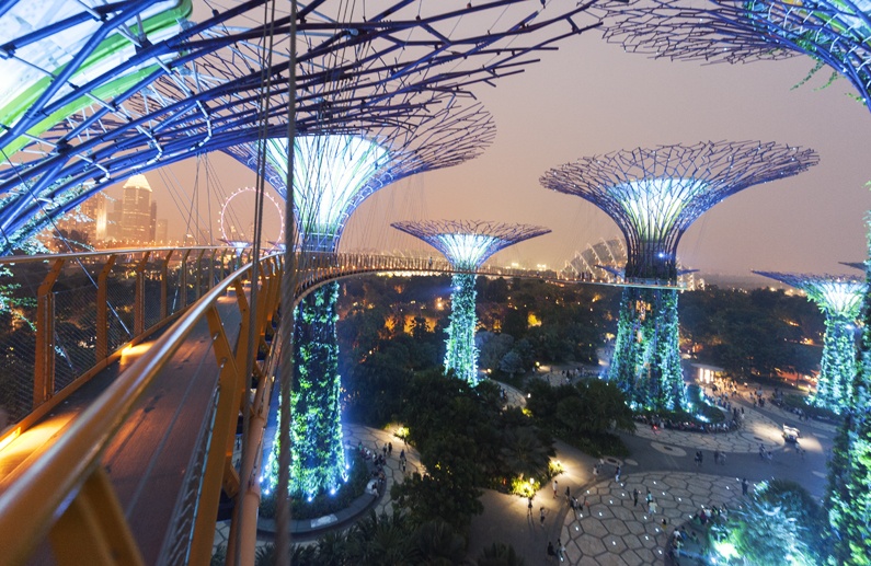 supertree grove night singapore