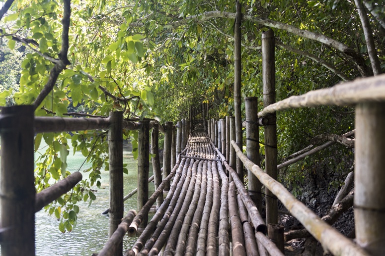 moray eel lagoon walkway danjugan philippines