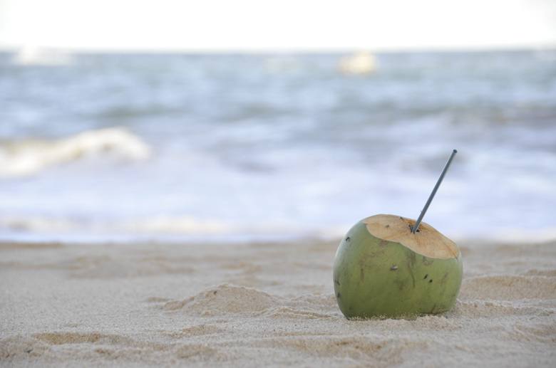 maceio brazil coconut on beach