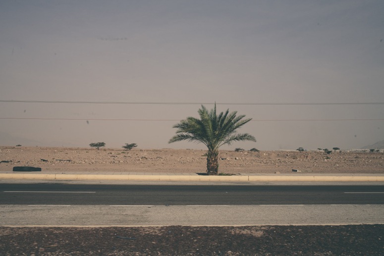 jordan road trip palm