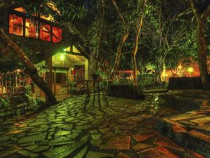 bohol bee farm