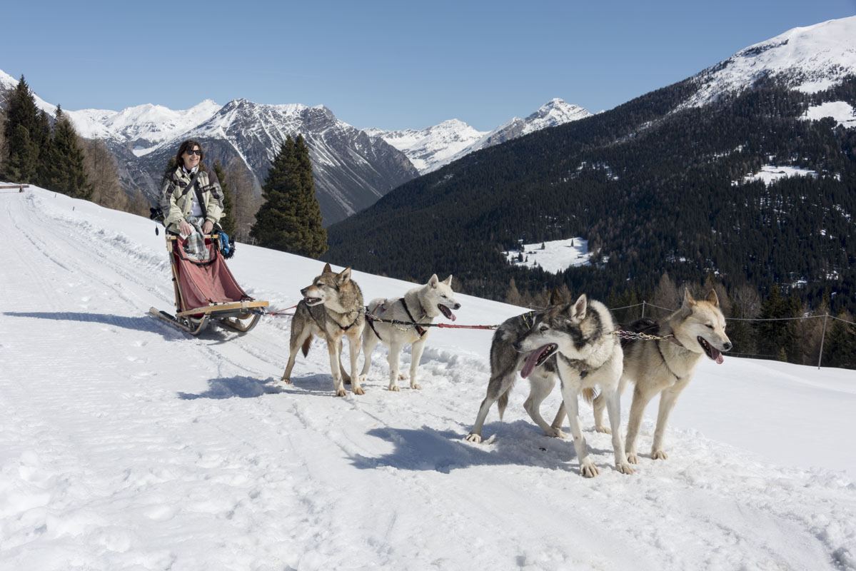 arnoga husky village dogsledding