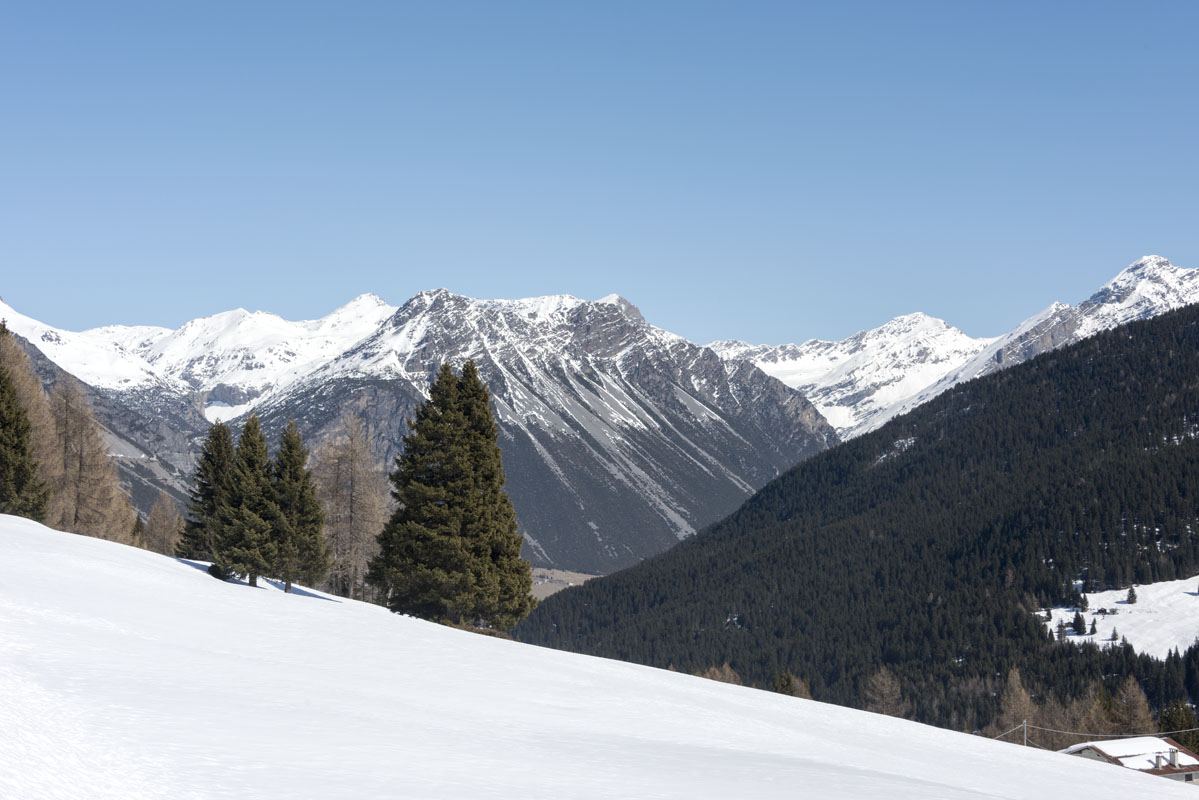Valtellina scenery spring