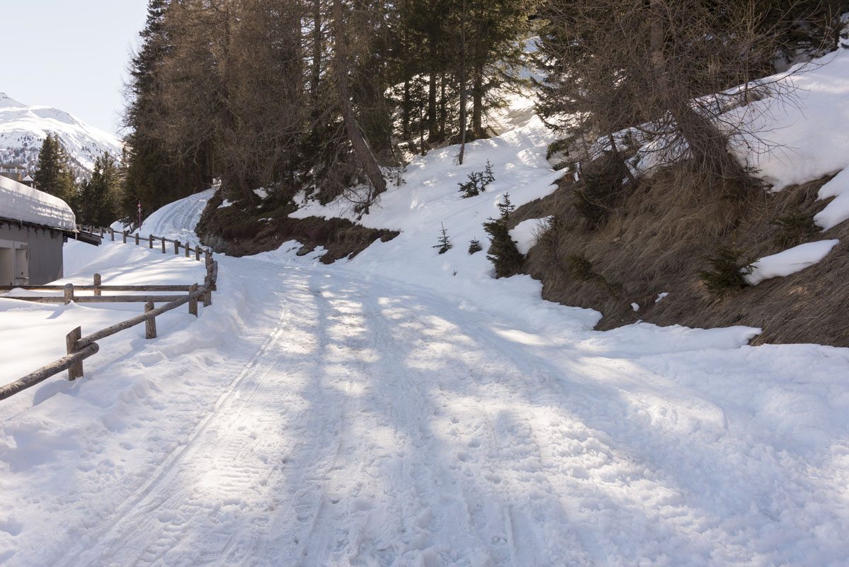 snowy path italy valtellina