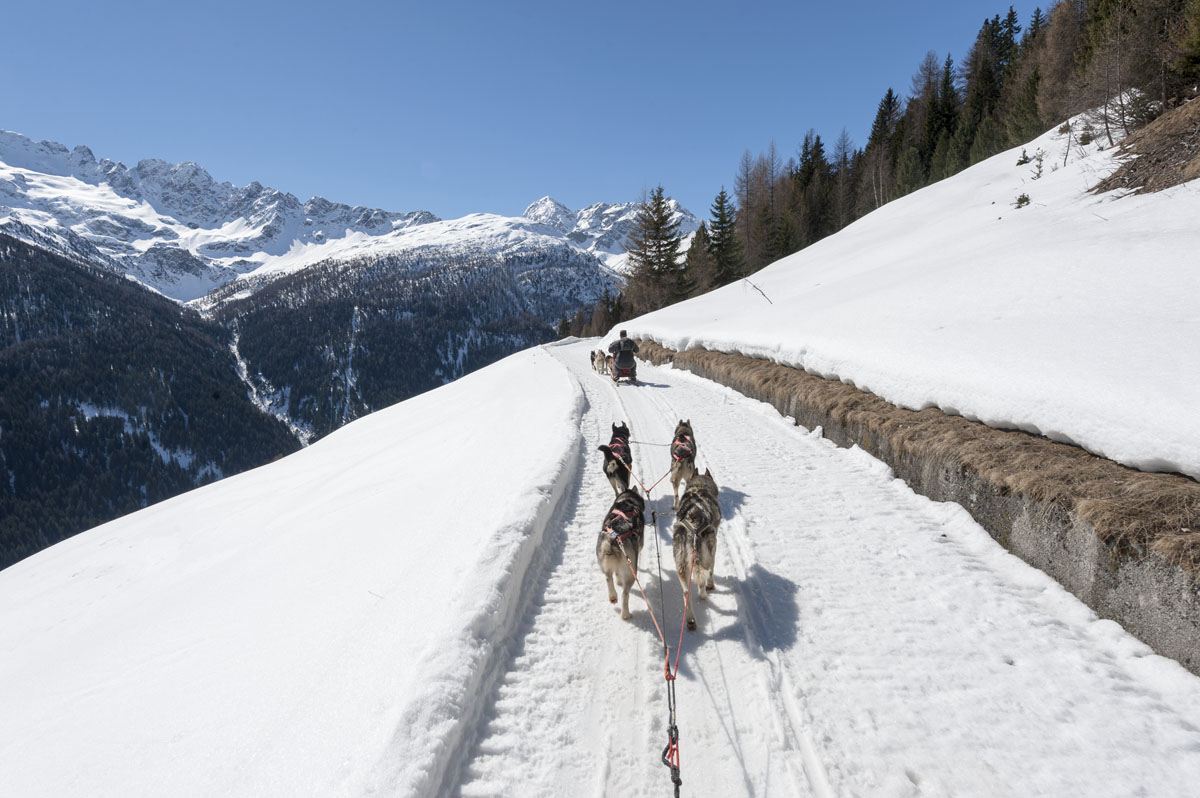 valtellina italy dog sledding