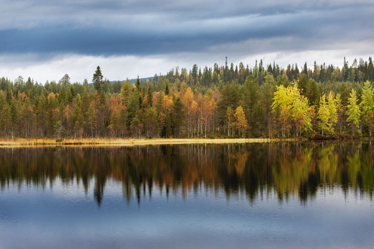 isokenkaisten-klubi-autumn-colours