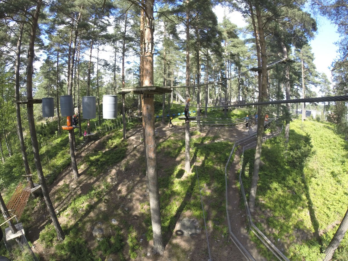 flowpark turku tree view