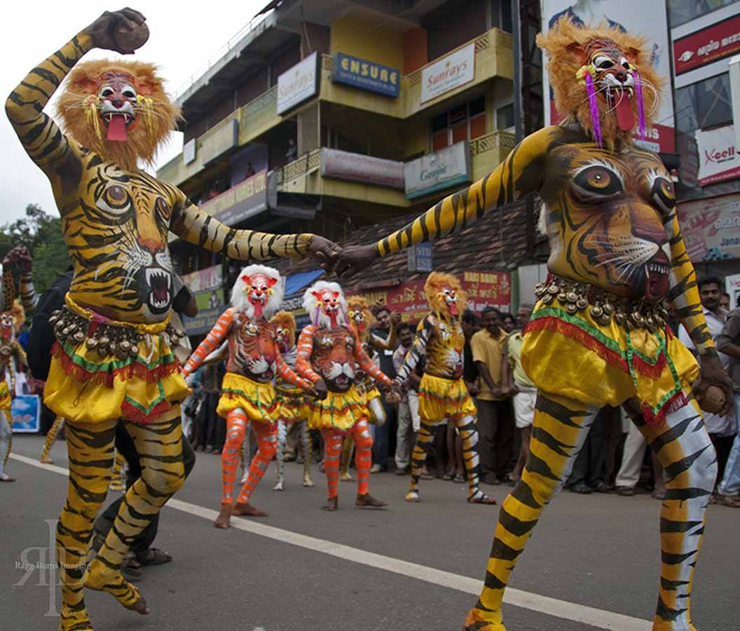 tiger dance costume