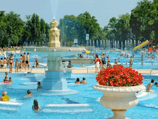 St Margaret S Island Budapest St Margaret S Island Budapest