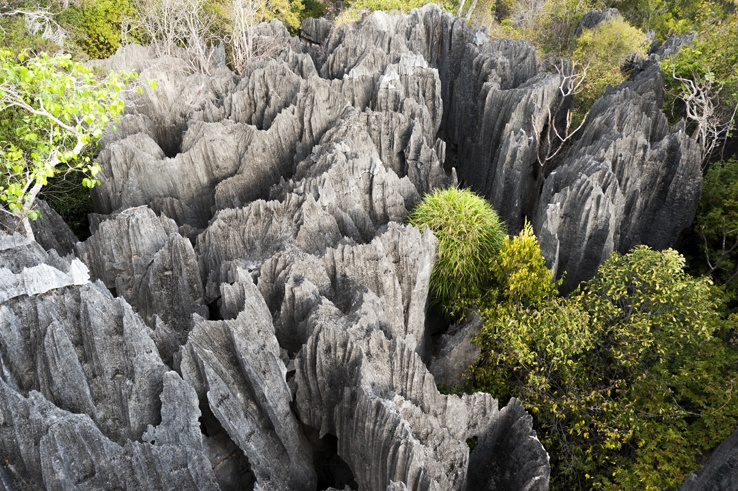 The stone forest of Tsingy de Bemaraha - The Crowded Planet