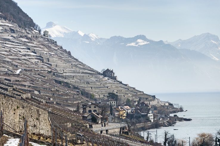 Lavaux terraces vineyards unesco