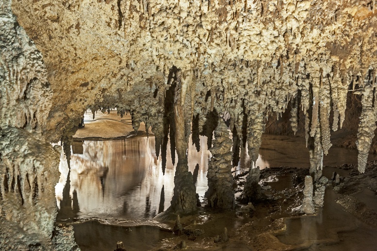 grotta fico sardinia stalagmites