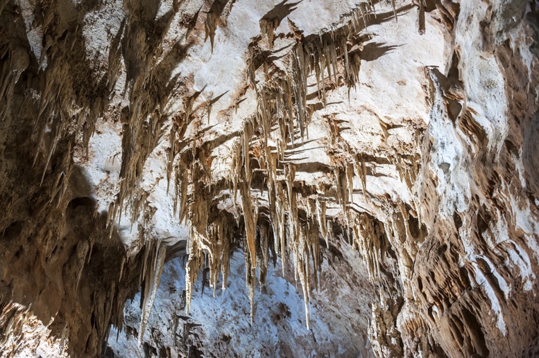 grotta fico sardinia stalattites