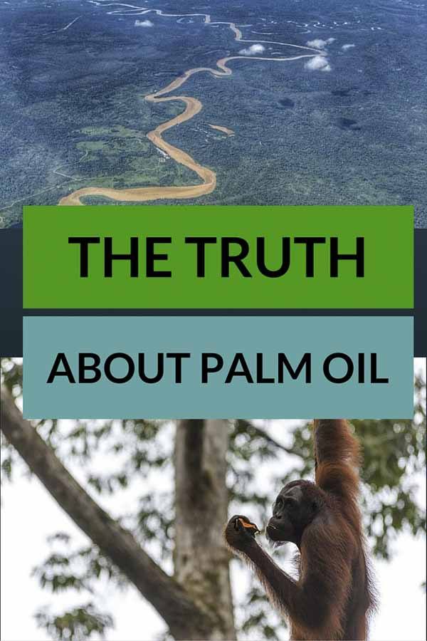 palm oil pin