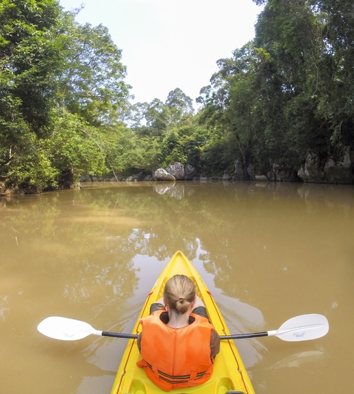 Back view kayaking borneo