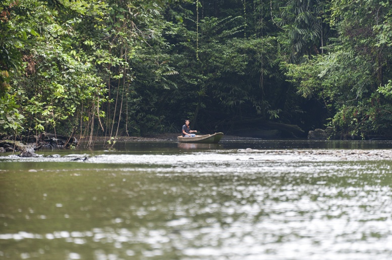 river jungle gunung mulu malaysia