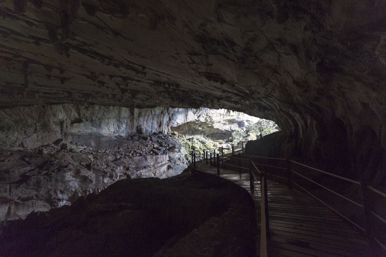 clearwater cave mulu boardwalk