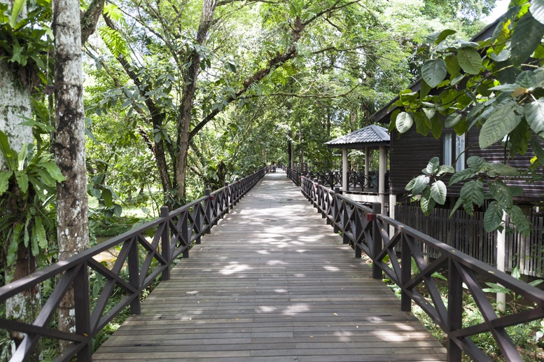 mulu marriott bungalows