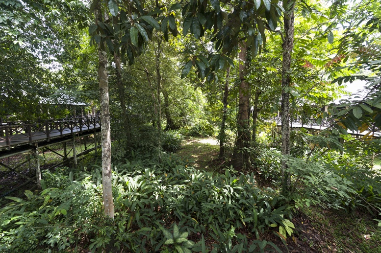 mulu marriott nature