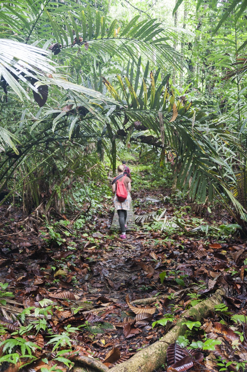 walking kubah national park