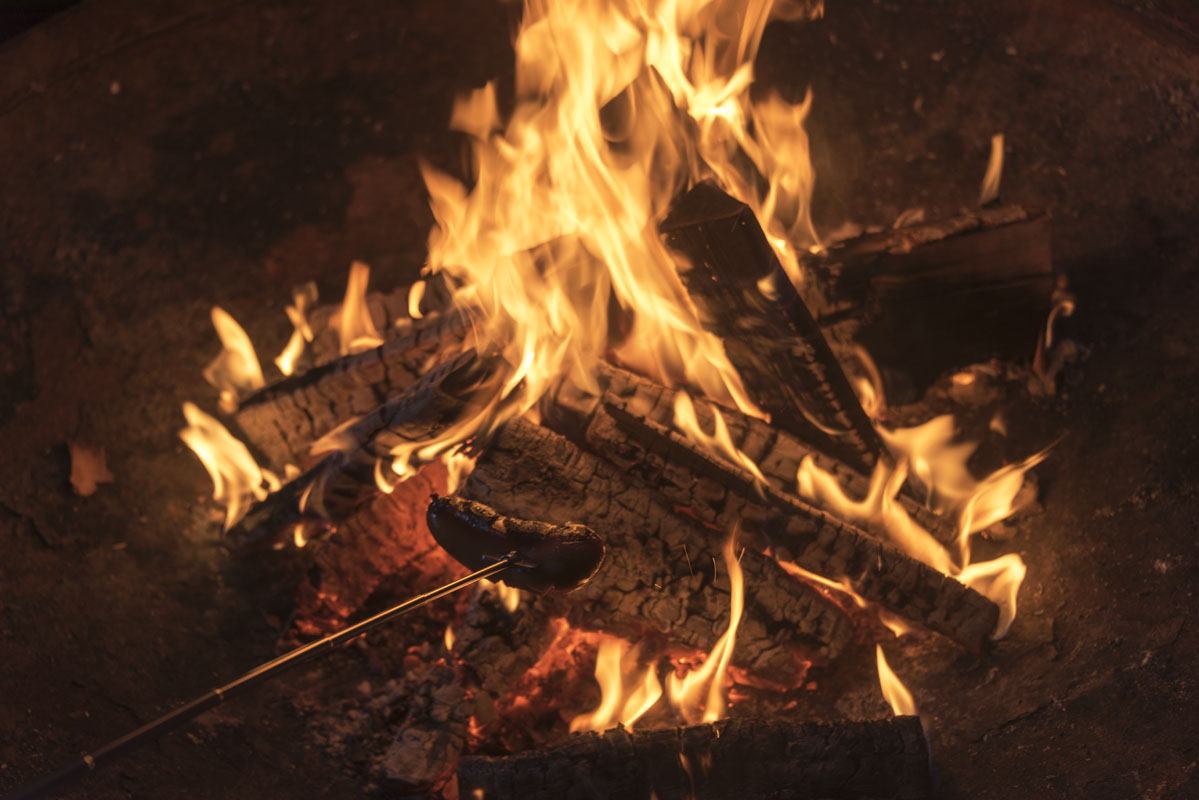 Finland_NBE_Espoo_log_fire