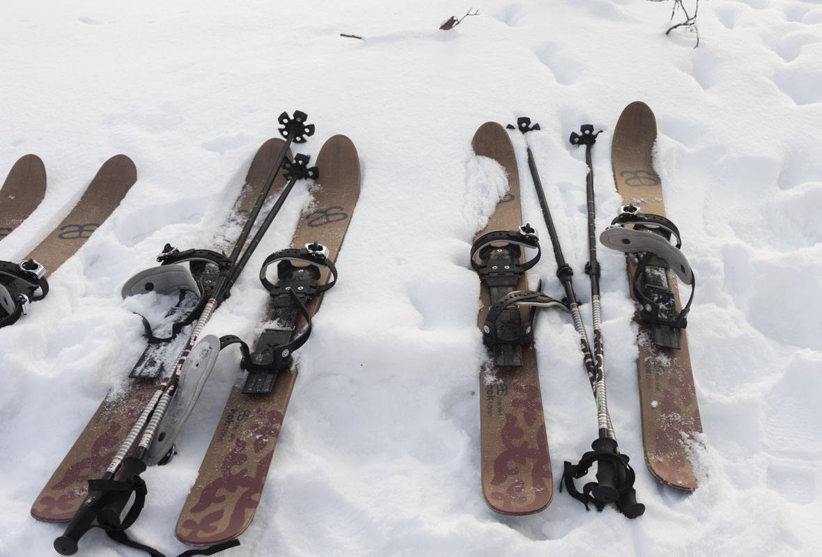 haltia altai skis