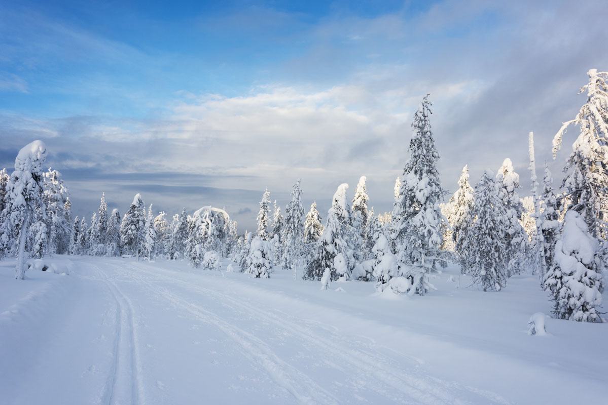 salla cross country ski track finland