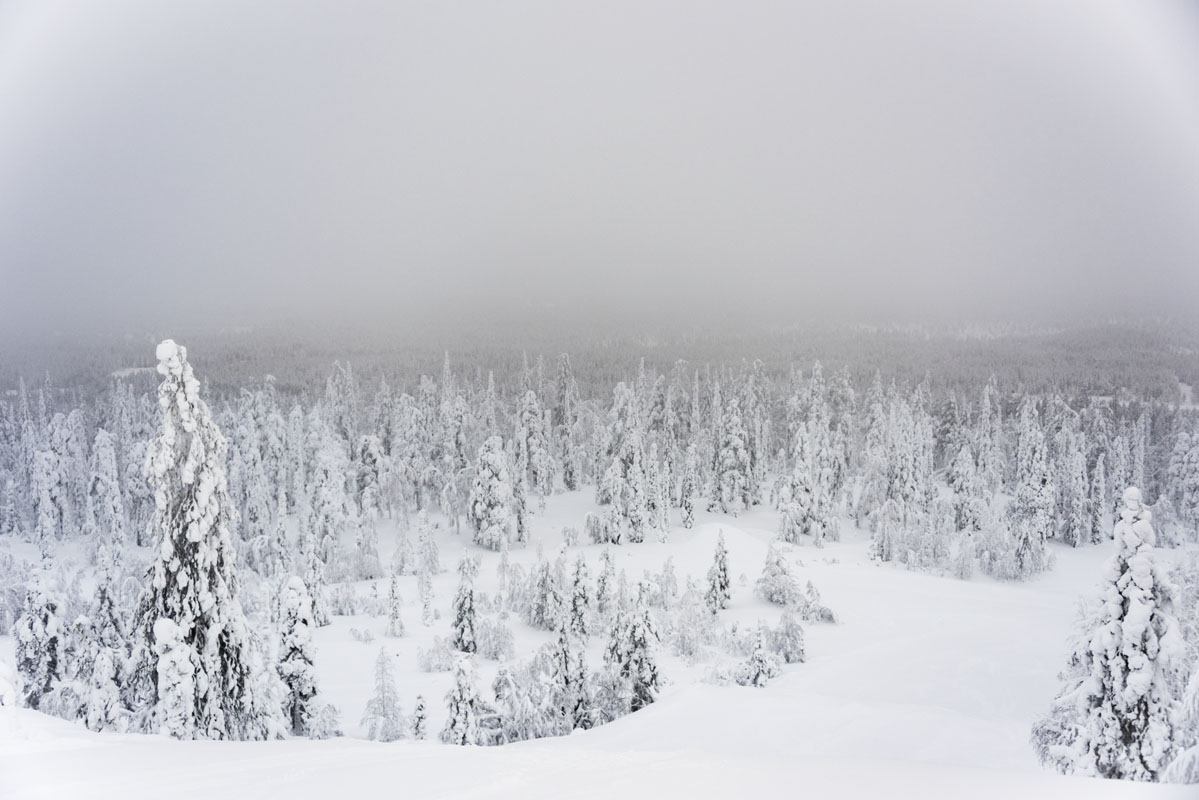 salla lapland ski slopes