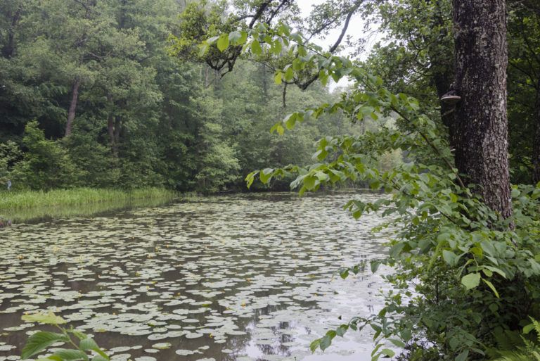 Fiskars Village Discover Finland Industrial History