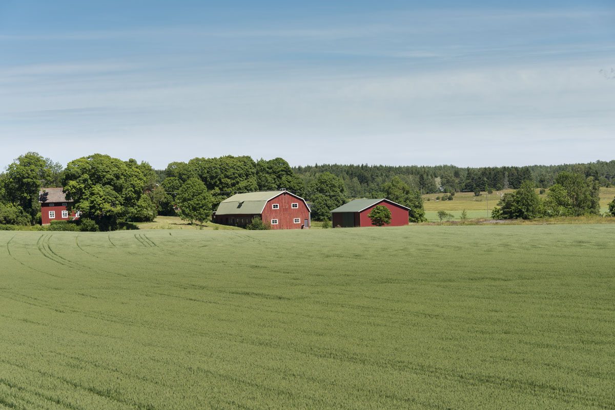 aland-finland-field