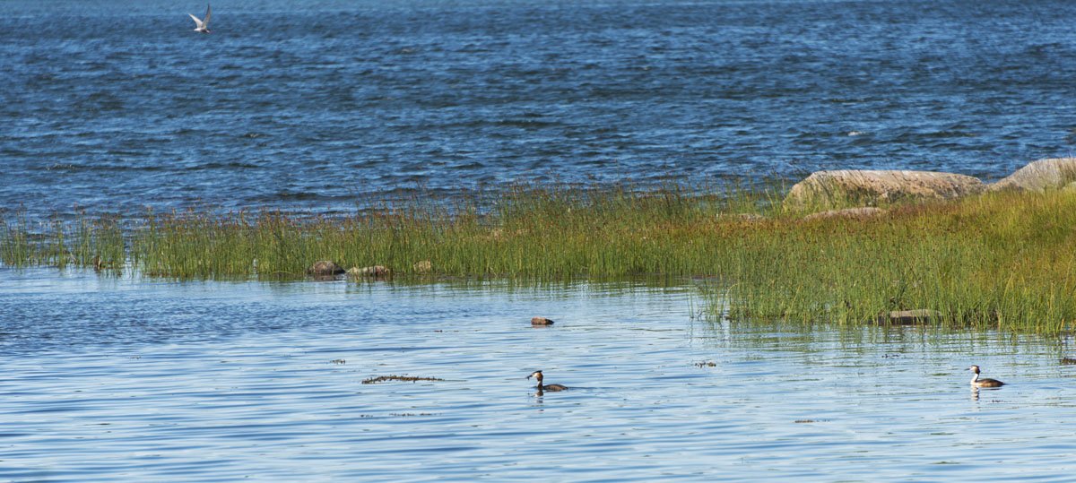 aland-islands-summer-sea