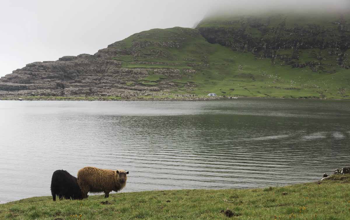 faroe beach