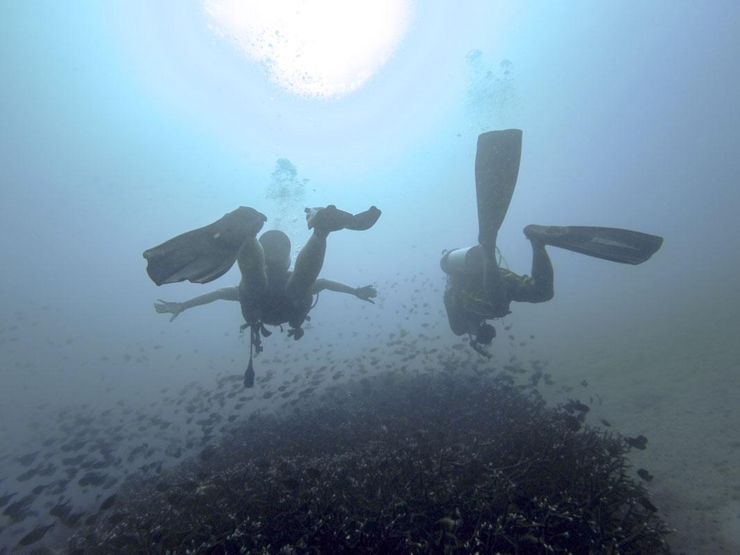 malapascua philippines diving