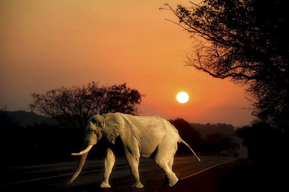 southern africa sunset