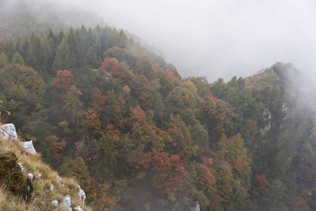 autumn colors monte baldo gardatrek