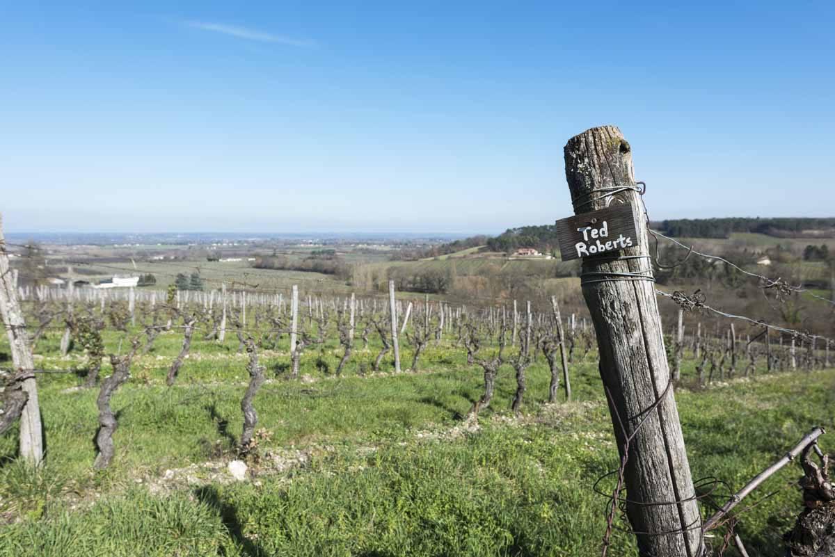 feely winery