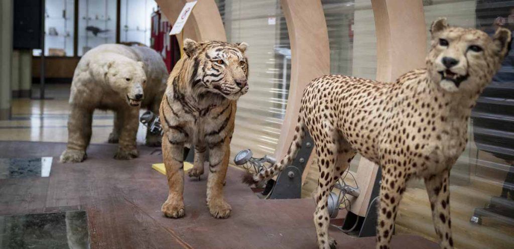 Zoo 3