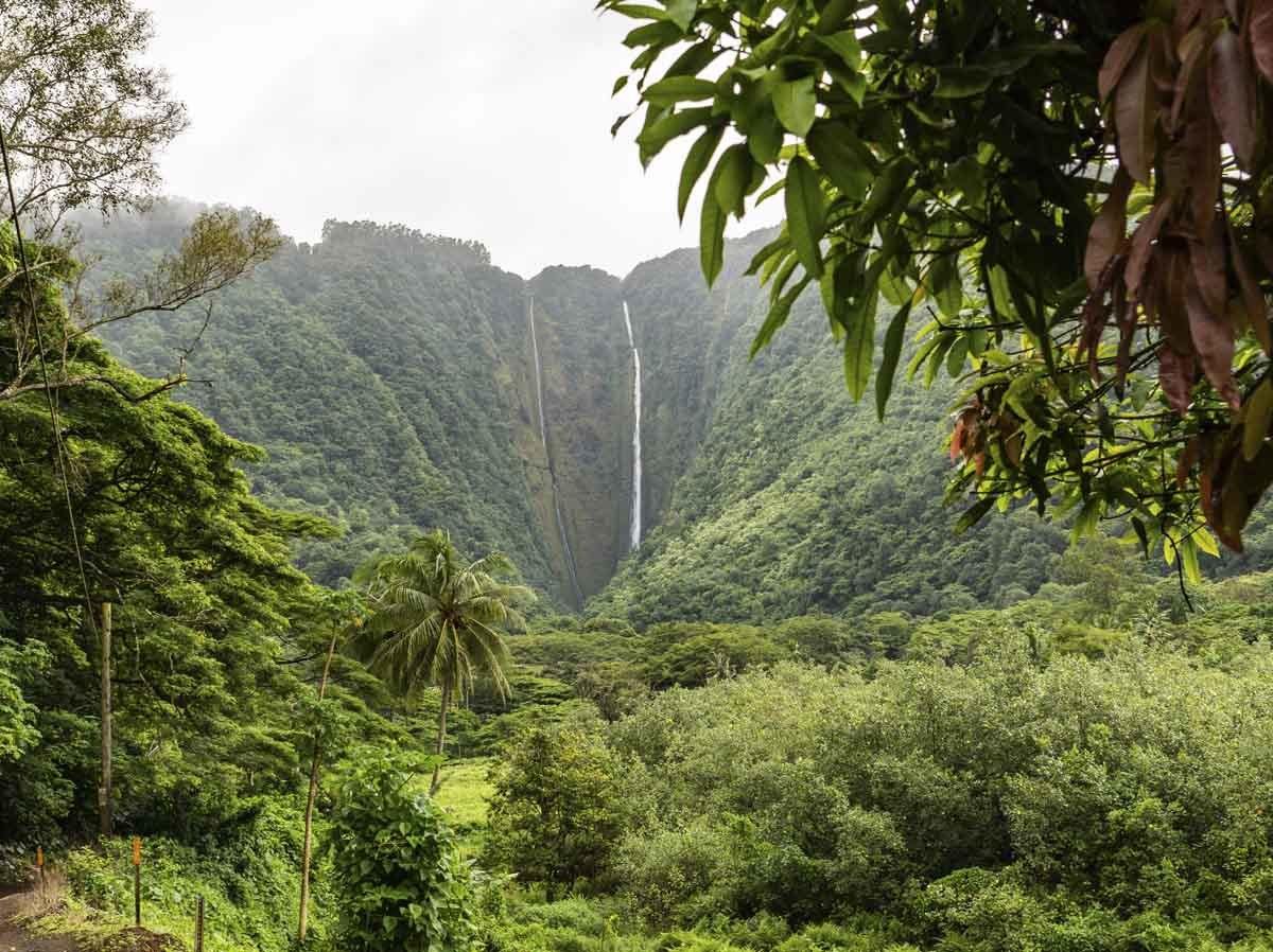 waipio valley hawaii