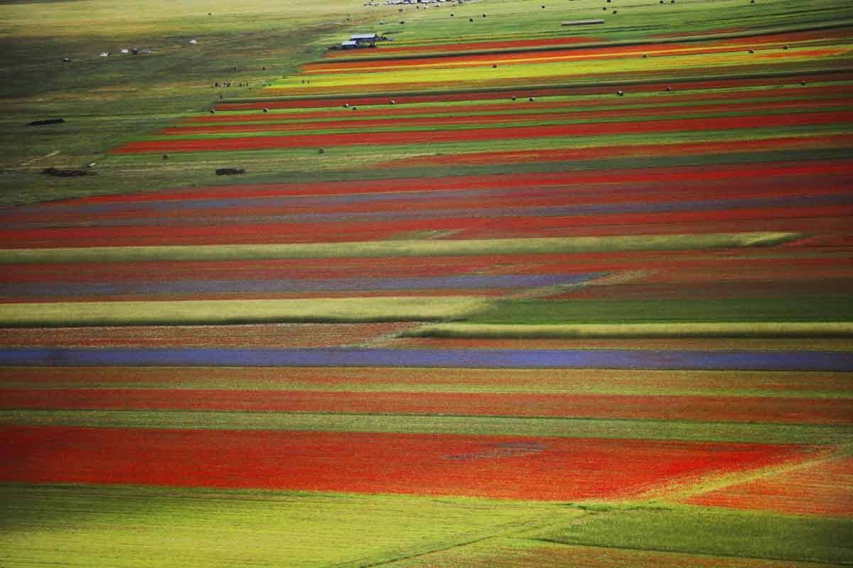 castelluccio Italia kesäkuussa